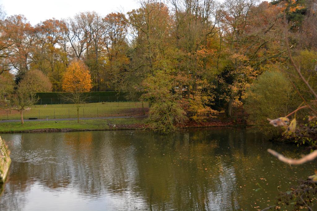 Haras Des Chartreux Otel Estaimbourg Oda fotoğraf
