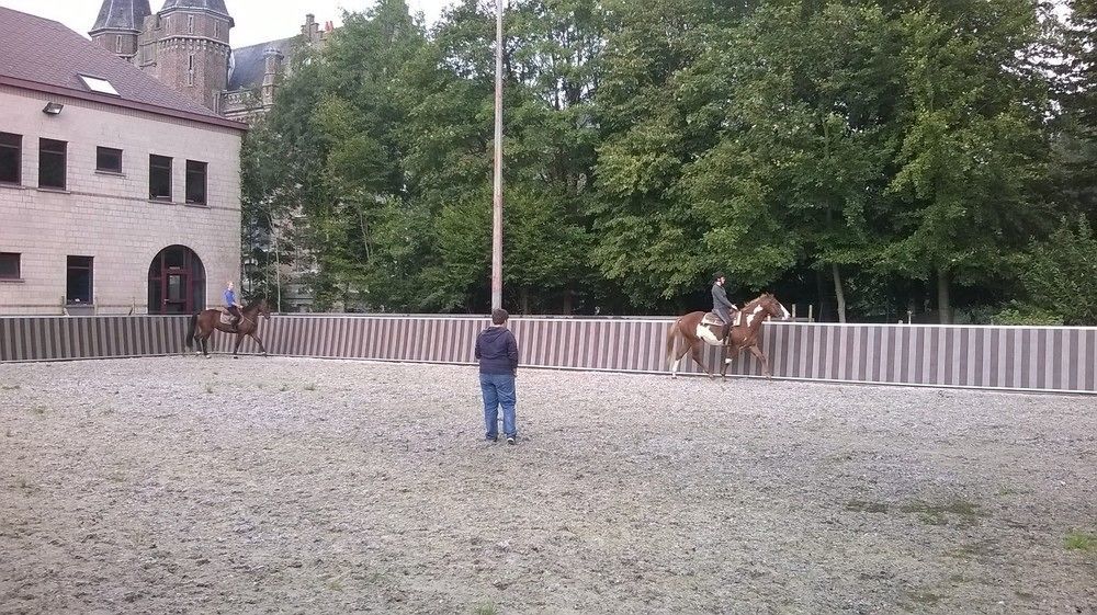 Haras Des Chartreux Otel Estaimbourg Dış mekan fotoğraf